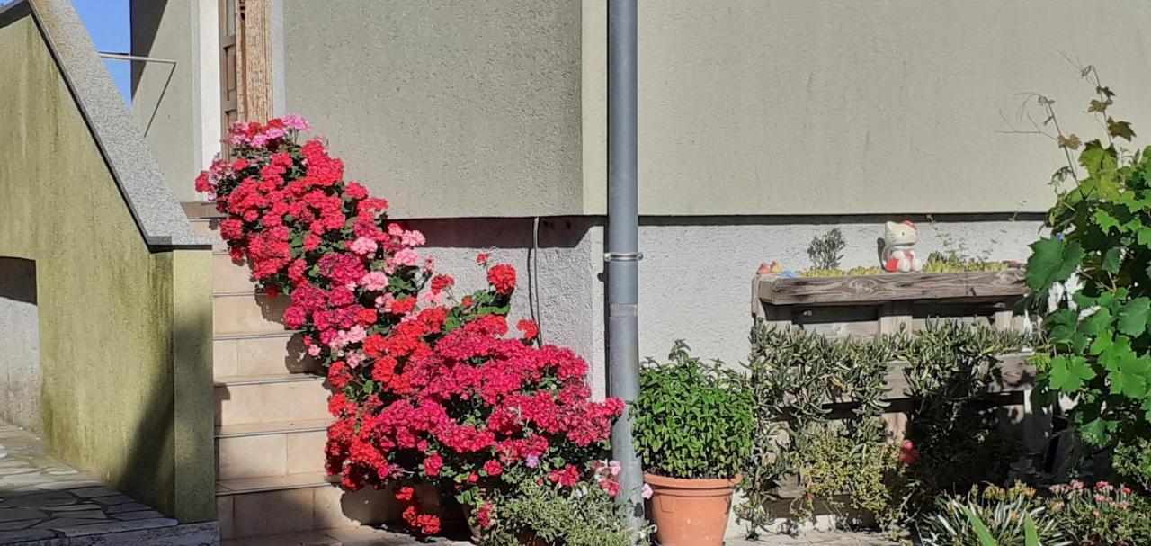 Kelk Loznati Apartment Bagian luar foto